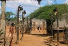 Full Day Shakaland Zulu Experience